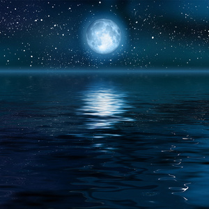 精品熟女成人网站
