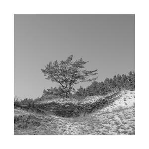 精品熟女成人网站
